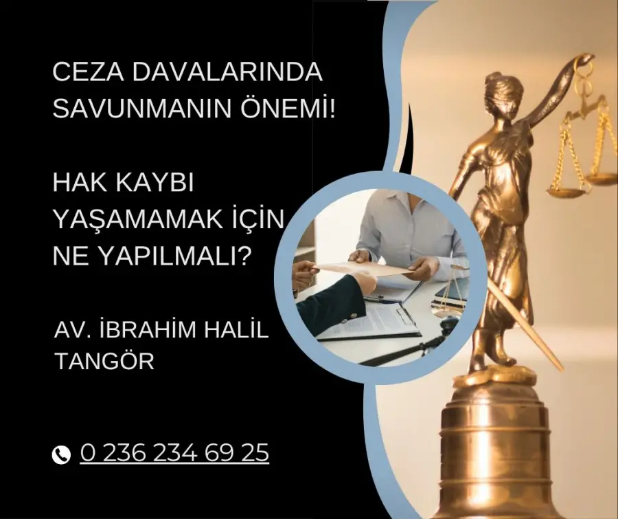 Manisa Ceza Davalarinda Savunma Stratejileri